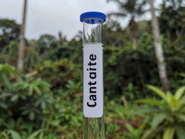 Close-up of a scientific water sample vial being labeled in a tropical forest environment, overcast light.