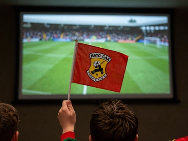 A child's hand holding a small Mayo GAA flag, seen from behind, looking at a large screen showing a GAA match, soft indoor lighting, gritty editorial photography.