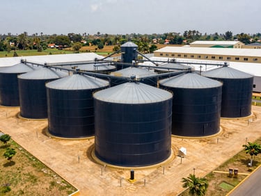 Wide environmental shot of a modern agricultural storage facility in Guinea, bright natural daylight, structured layout.