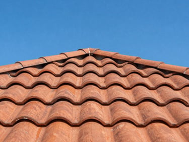 Close-up of newly installed terracotta tiles on a clean roof, direct bright sunlight, sharp detail