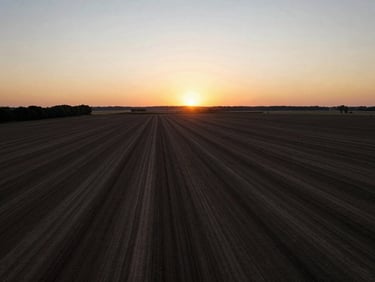Sweeping drone shot of a raw land parcel at dusk, golden horizon, low-contrast natural light, cinematic scale.