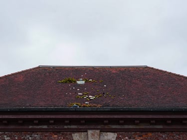 Toiture ancienne dégradée à Lille, ardoises cassées, mousses et lichens, sous un ciel gris. Style: elegant architectural photography, soft northern daylight, moody overcast skies, deep charcoal and rich burgundy tones.
