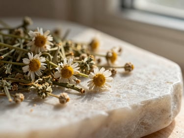 Macro close-up of raw dried botanicals and chamomile flowers on an alabaster stone surface, warm morning sun, muted earthy tones.