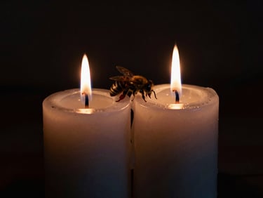 Two dark beeswax candles dripping together, their flames merging into a single dim light, deep shadows in the background.