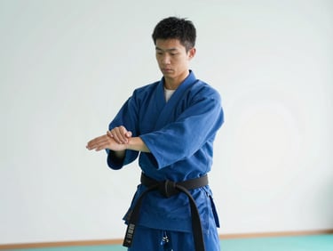 Aikido practitioner executing a controlled immobilization technique, focused and calm expression, soft natural light, 35mm