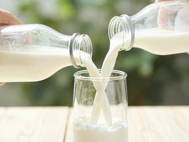 Crisp high-key photograph of fresh milk pouring into a glass bottle, bright morning sunlight, clean modern dairy aesthetic.