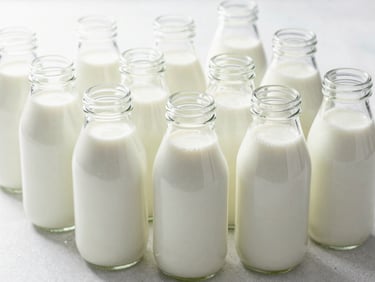 Neatly arranged glass bottles of fresh milk and yogurt on a cool, clean surface, soft morning light, high-key depth of field.