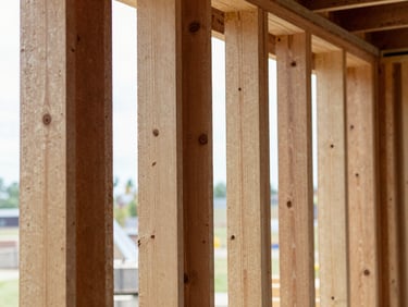 Close-up of perfectly aligned wood wall framing studs, clean construction site, bright natural daylight streaming through window frames