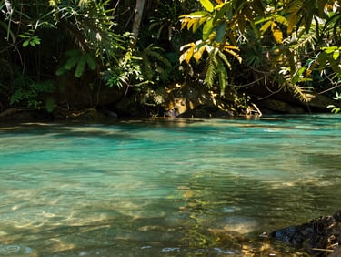Crystal-clear turquoise river in Nobres, lush green tropical foliage, sunlight filtering through the water, high-end travel photography.