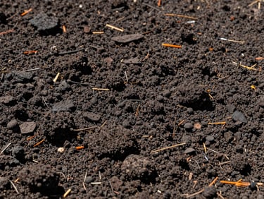 Close-up of rich, dark organic landscape soil, fine texture, sharp details, bright daylight