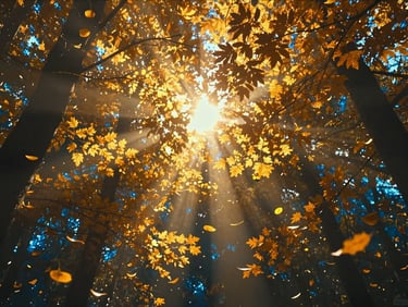 Cinematic fantasy shot of a golden sunlit forest canopy, glowing amber leaves drifting, soft atmospheric haze, warm gold tones