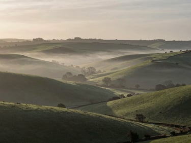 A wide, atmospheric landscape of the rolling Buckinghamshire hills at dawn, soft mist resting in the valleys, muted green and grey tones, elegant and quiet composition.