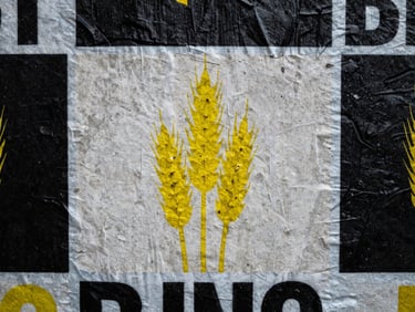 Close-up macro shot of wheat-pasted street posters on a textured concrete wall, high-contrast shadows, overcast daylight.