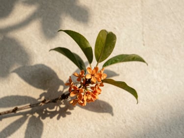 Close-up of delicate orange blossoms with green leaves, illuminated by soft morning light, on a textured clay surface, casting subtle shadows.