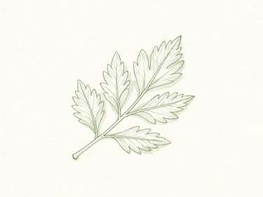 Botanical line art illustration of a single, delicate leaf in sage green, against a clean off-white canvas, soft and elegant.