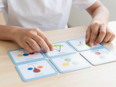 Close-up of a student's hands organizing colorful science flashcards on a wooden desk, soft natural morning light, clean and structured.