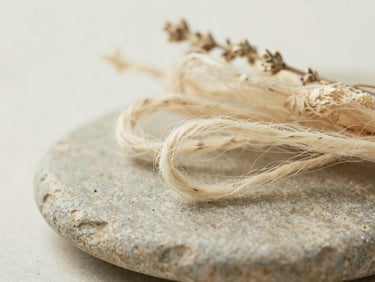Macro shot of raw botanical fibers resting on a smooth sage-colored stone, soft morning daylight, shallow depth of field