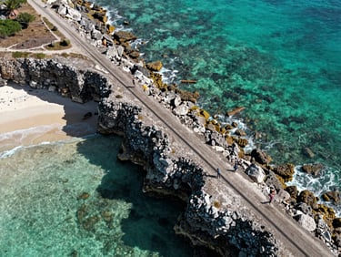 Sweeping drone shot of a precisely surveyed coastal land parcel in Zanzibar, sharp turquoise ocean meeting raw coral stone cliffs, bright midday sun casting architectural shadows.
