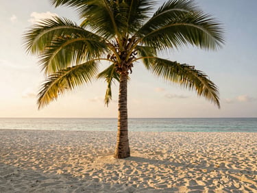 Sun-drenched Maldives beach with a single palm tree casting a soft shadow on white sand, golden-hour light