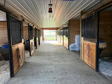 Inside of a well-lit wooden horse stable with clean stalls, metal bars, and a concrete center aisle.