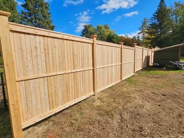 New light wood privacy fence installed in a backyard with green pine trees in Newark DE