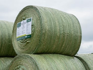 Close-up of a tightly bound green silage bale showing the clean, industrial wrapping and technical product label under bright overcast daylight