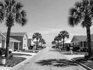 Black and white wide shot of a beachside residential street in Myrtle Beach, low-rise homes with mature palms, natural daylight, architectural environmental framing