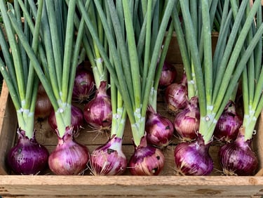 Overhead shot of vibrant purple onions in a wooden crate, contrasting with green leaves, natural daylight, high detail.