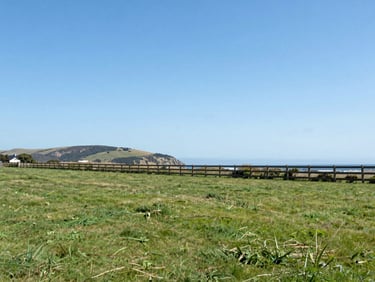 Wide green empty land plot, clear blue sky, wooden fence, coastal hills in background