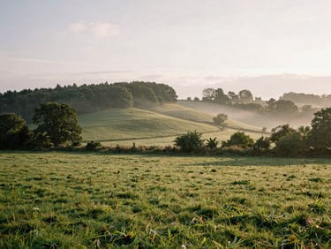 A quiet Berkshire common landscape at dawn, soft mist rising over rolling green hills, overcast English daylight, warm editorial photography