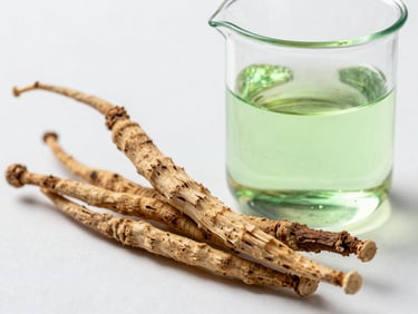 Macro shot of raw dry Ashwagandha roots next to a clean glass beaker containing green liquid extract, clinical white lighting.