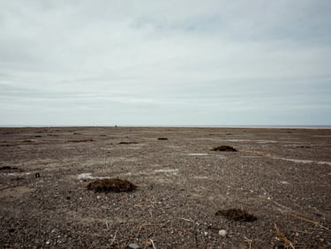 Wide environmental shot of preserved coastal land, low-contrast overcast lighting, quiet and expansive horizon