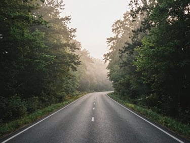 Empty winding asphalt road disappearing into the misty green Compiègne forest, soft morning light filtering through the tall trees, serene atmospheric travel mood, no cars.
