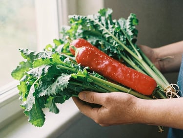 Hands of a local farmer holding freshly harvested organic vegetables in soft, warm natural sunlight