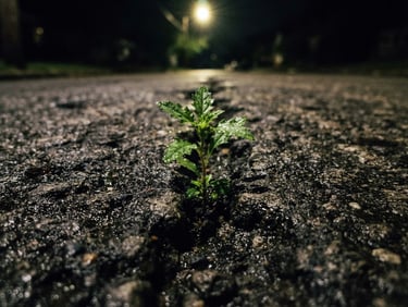 Extreme close-up of a single green weed breaking through a sharp crack in dark, wet city asphalt, harsh overhead street light, gritty 35mm film grain