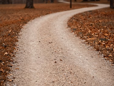 Soft sunlight illuminating a winding gravel pathway through a quiet autumn park, warm brown and terracotta tones, shallow depth of field, minimalist composition.