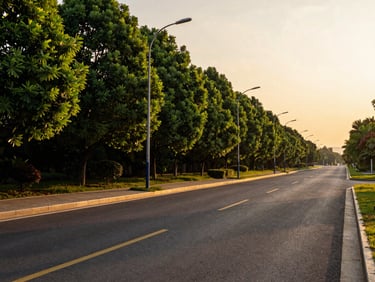 Wide-angle landscape of a wide paved asphalt road with neat curbs, modern street lamps, mature green trees on the side, sunset lighting