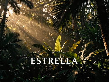 Landscape shot of ESTRELLA in a lush tropical forest, cinematic lighting, golden hour, mist rising, high-contrast chiaroscuro, 35mm film.