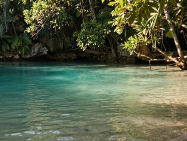 A serene cenote with crystal clear turquoise water, surrounded by lush green jungle foliage, soft natural light filtering through trees, 35mm.