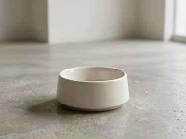 A sleek ceramic pet bowl on a polished concrete floor, soft natural light