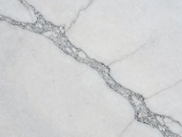 Extreme close-up overhead of a polished Carrara marble slab, strong white ground with bold grey veining running diagonally, north-facing daylight, no color correction, surface detail fully resolved
