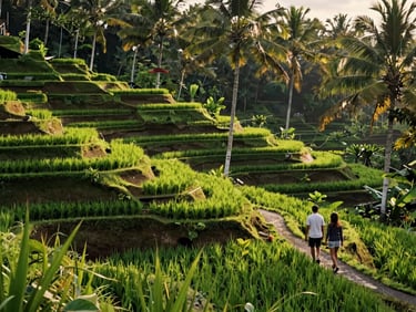 Wide environmental shot of Tegalalang rice terraces Bali, a couple walking along a narrow terrace path in late afternoon light, palm trees and stepped green fields receding into distance