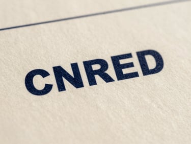 Close-up of official document with CNRED stamp on textured paper, soft natural daylight, deep navy and warm paper tones, macro lens, shallow depth of field