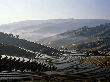 Cinematic wide landscape of misty terraced rice fields in Ha Giang at dawn, high-contrast natural light, deep shadows, muted organic tones, 35mm film grain, expansive sky