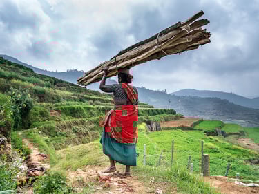 Poombarai terrace farming