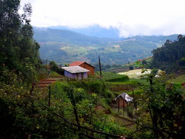 Poondi village