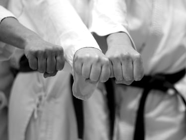 baisieux arts martiaux karaté taï jitsu