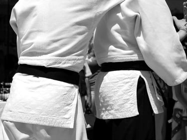 baisieux arts martiaux karaté do shotokan
