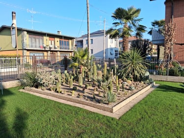 Aiuole con palme, agavi, yucche e cactus selezionati per resistere al clima freddo del Nord