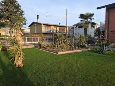 INSOLITOCACTUS realizza giardini esotici in provincia di Varese, Milano, Lago Maggiore, Lago di Como